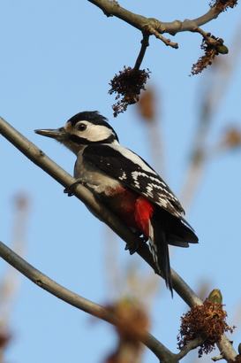 Parc départemental de la Fosse Maussoin
